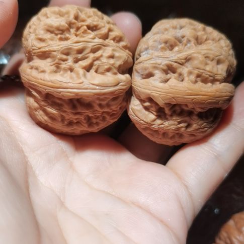 猴头核桃吊坠40元宝