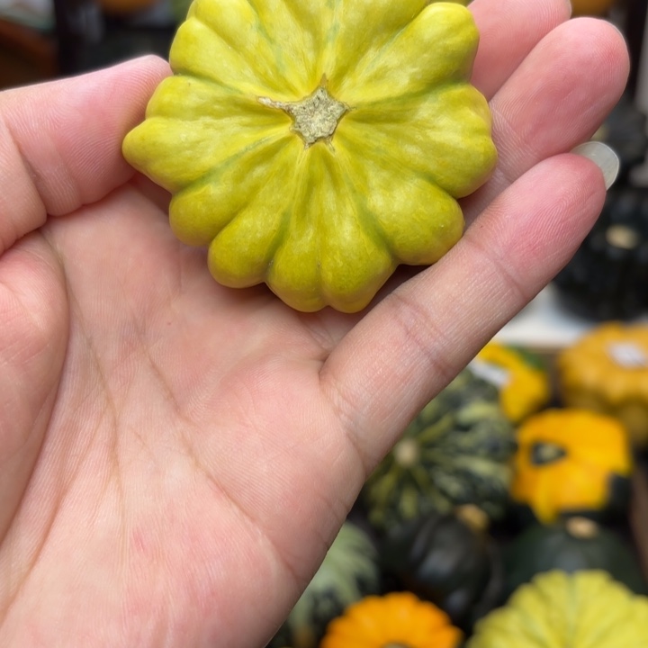 福利福利福利福利