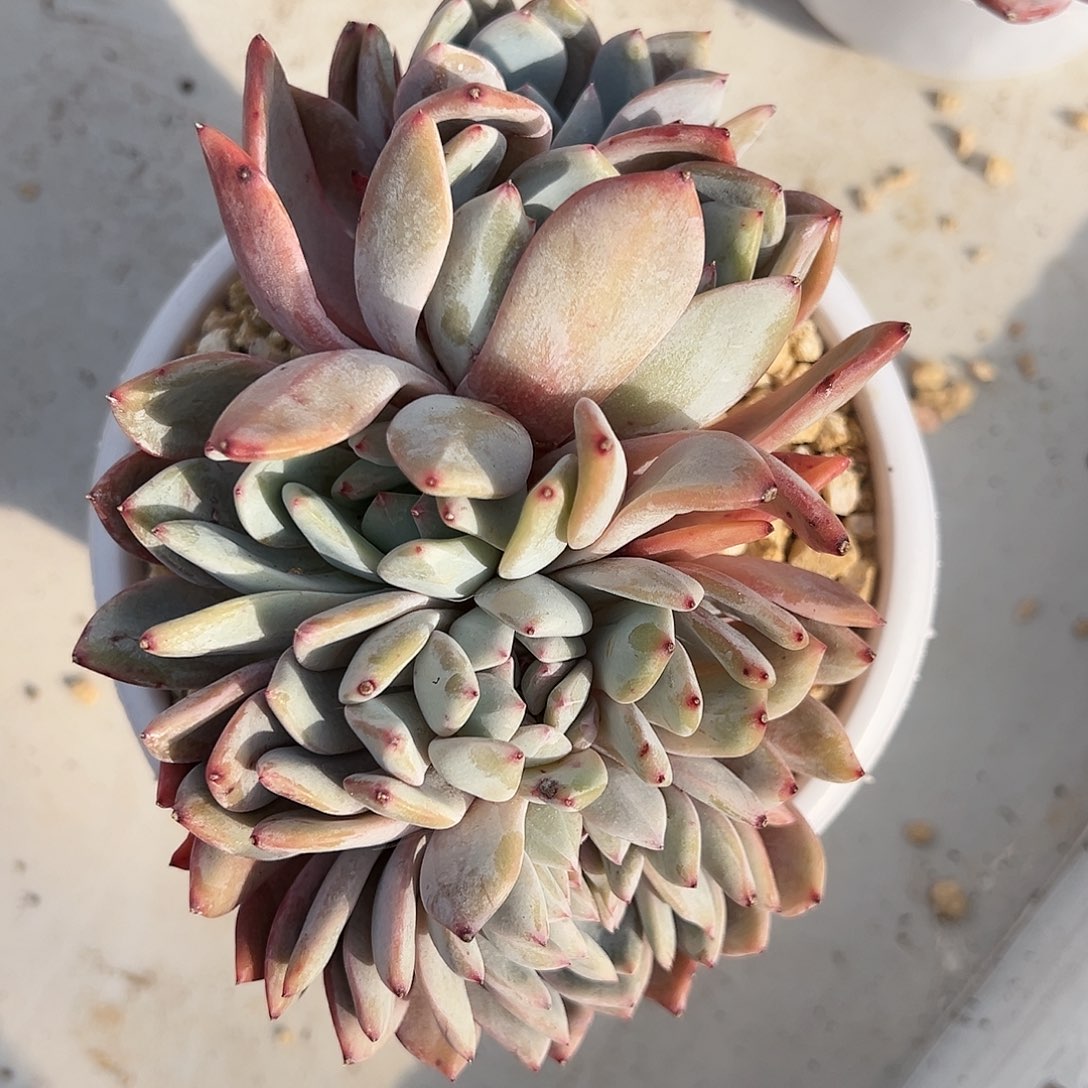 cjhjhjbjnnjjjjjjnnjnj