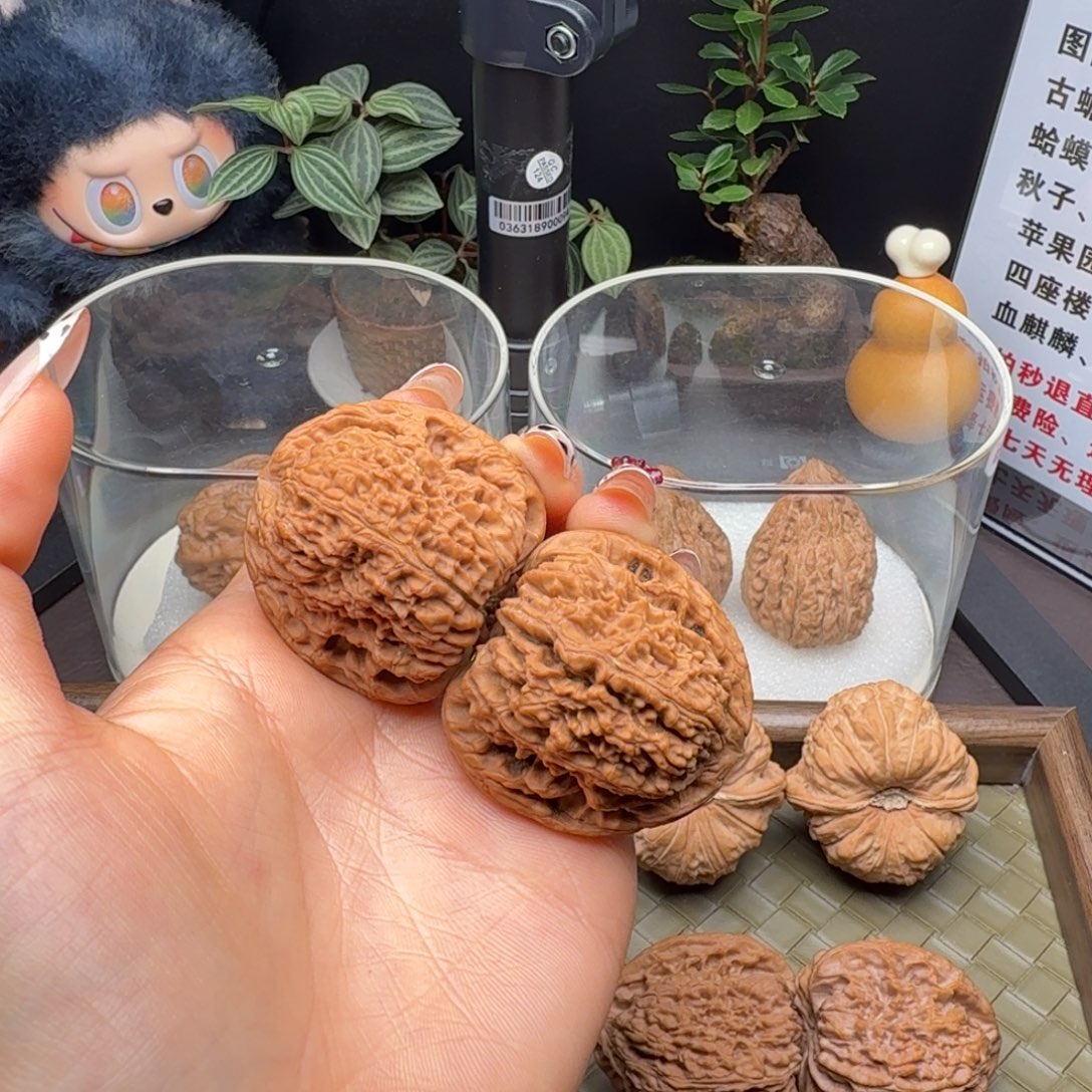 核桃全品南疆41尺