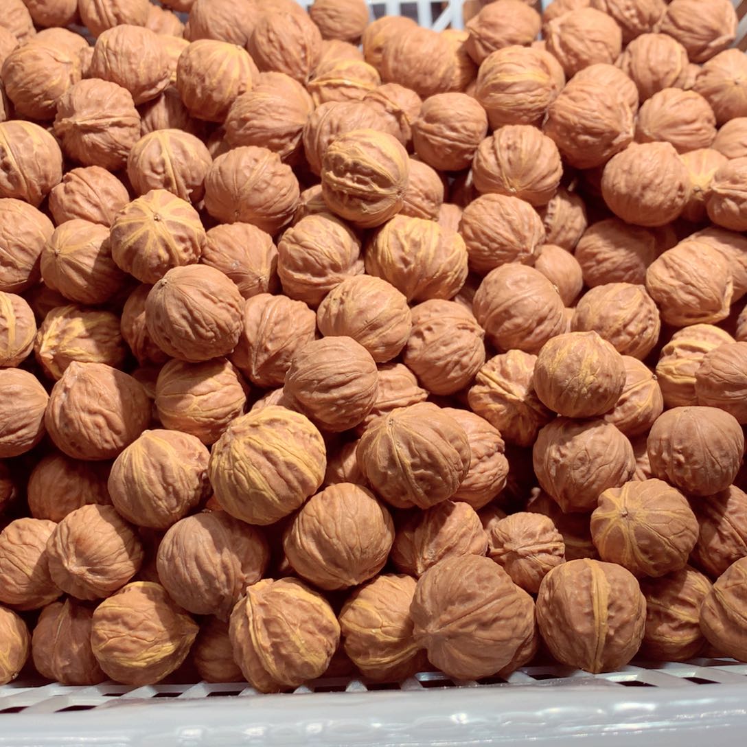 文玩核桃吊坠300粒左右