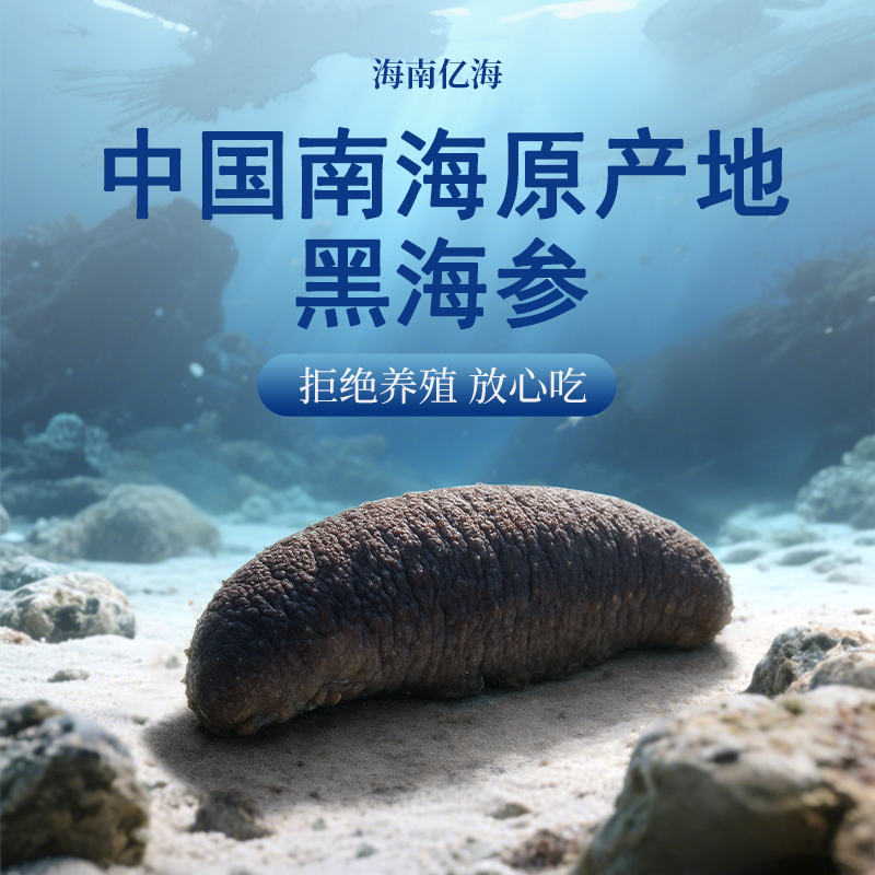 南海黑海参非养殖500g装新鲜冷冻孕妇滋补送礼礼品冷链包邮次日发