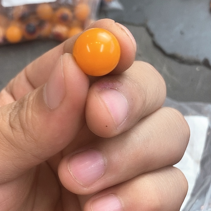 非洲紫檀（红花梨）698