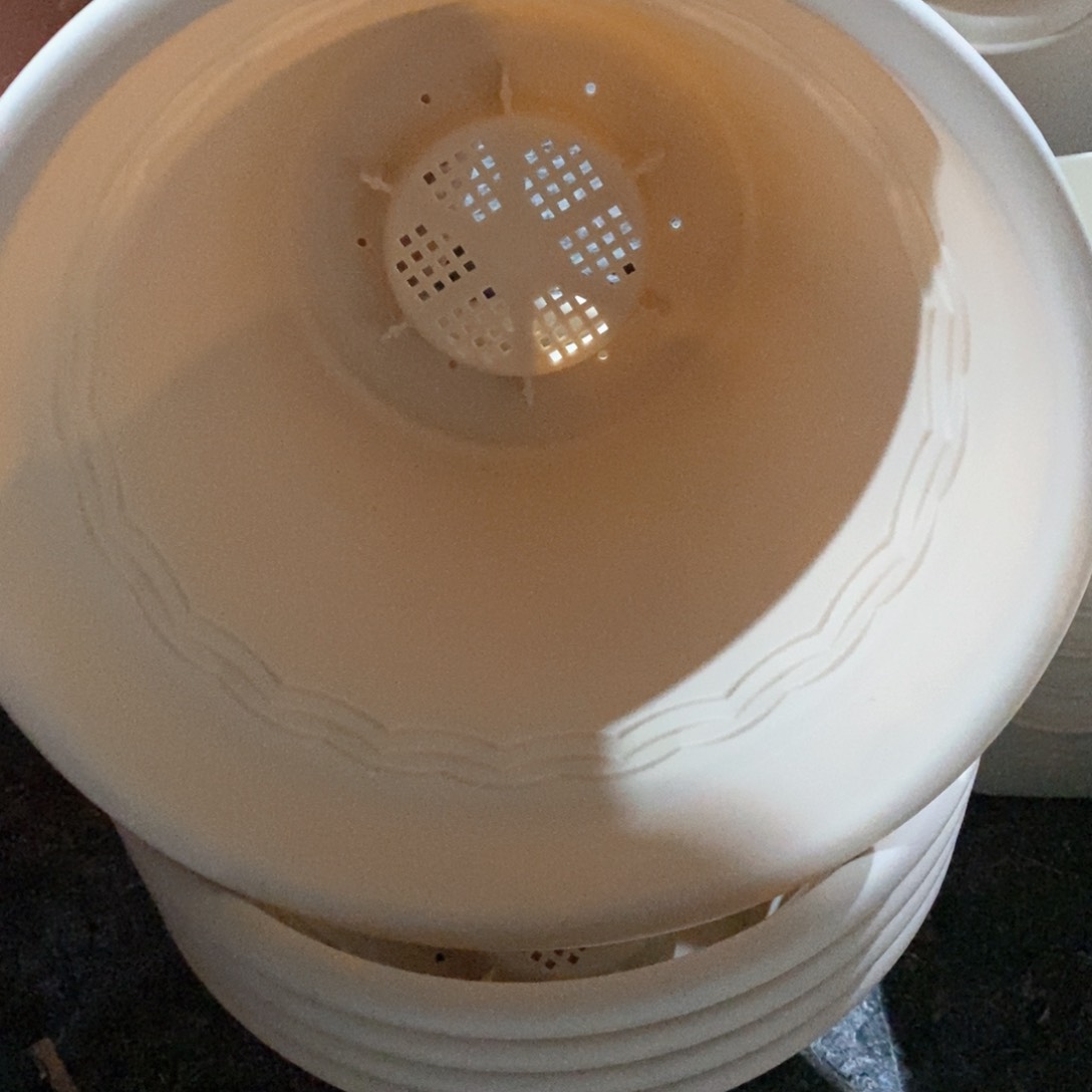 5个爱丽丝9号米色蛋糕盆