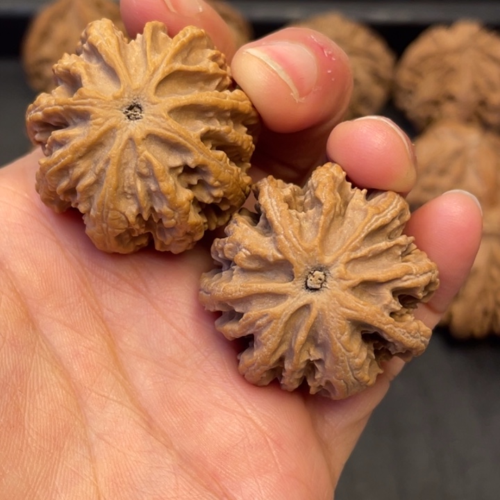 文玩核桃吊坠突突突突突突突突突突8