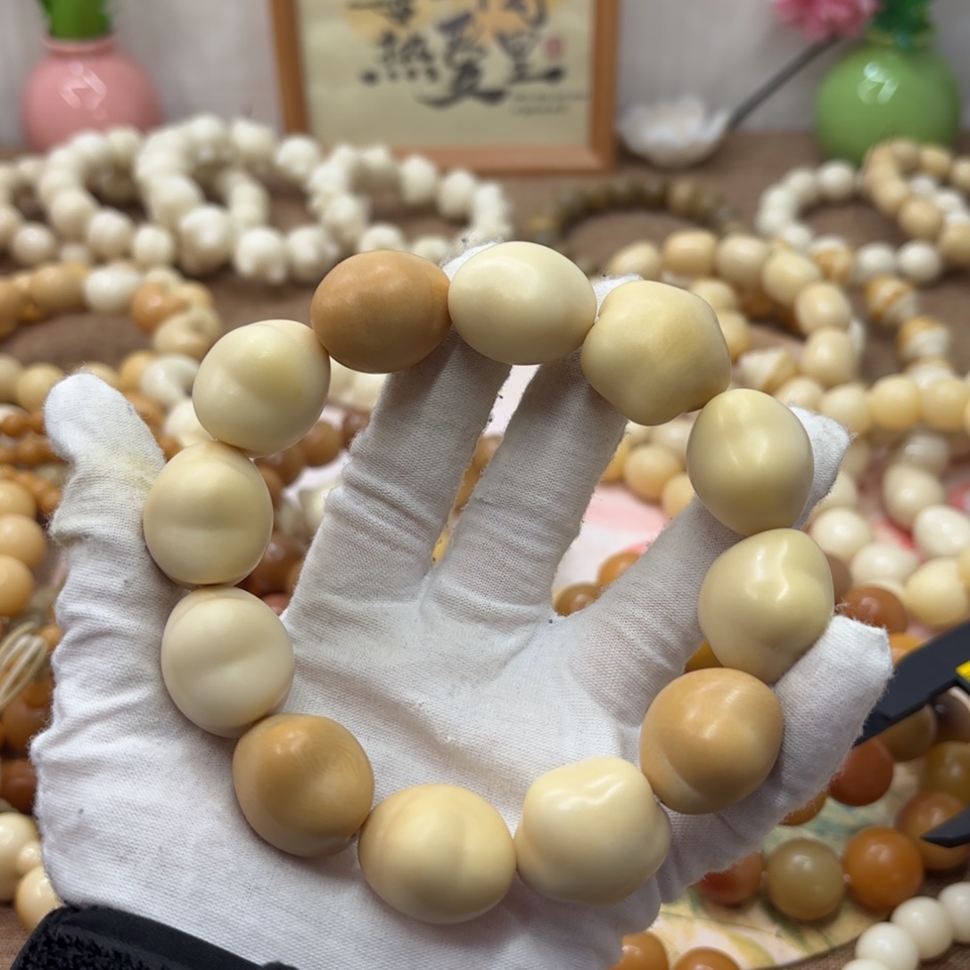 菩提根/象牙果吊坠25干磨牙果星星多宝默认瑕678