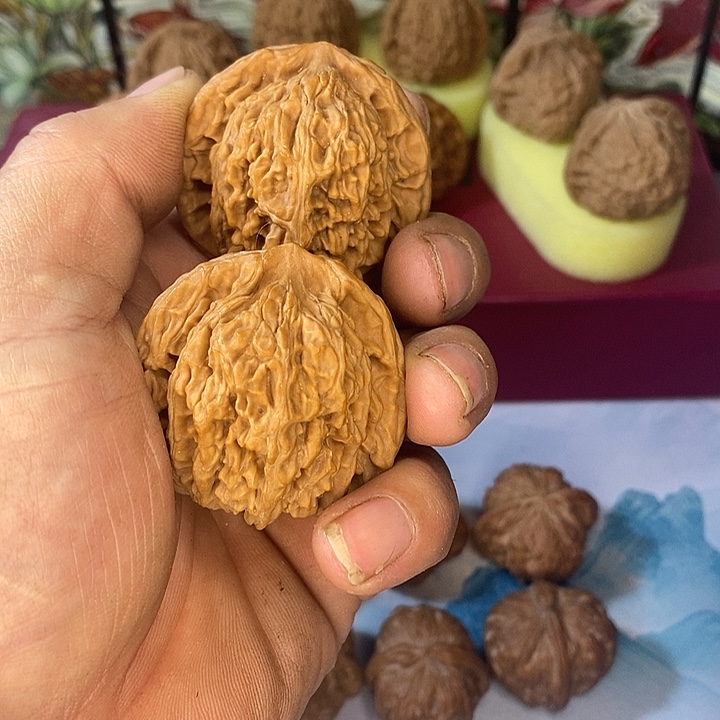 全品无修四座楼标配