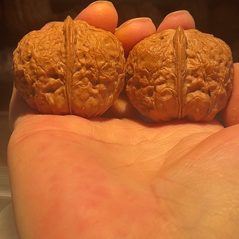 文玩核桃把件鼻烟壶带彩40