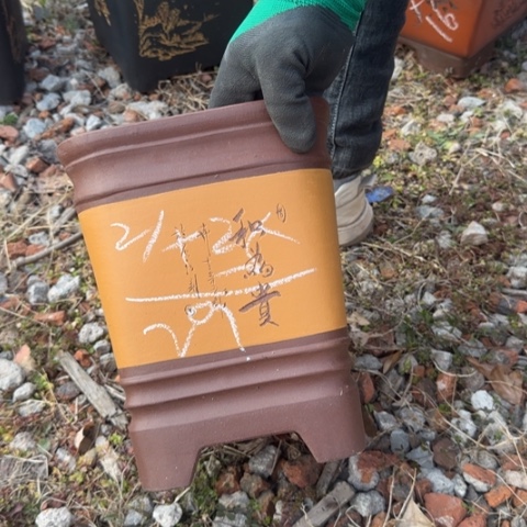 红陶紫砂花盆盆景盆栽