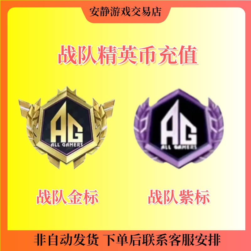 和平精英战队追光服金标紫标logo精英币充值和平精英点券皮肤出售