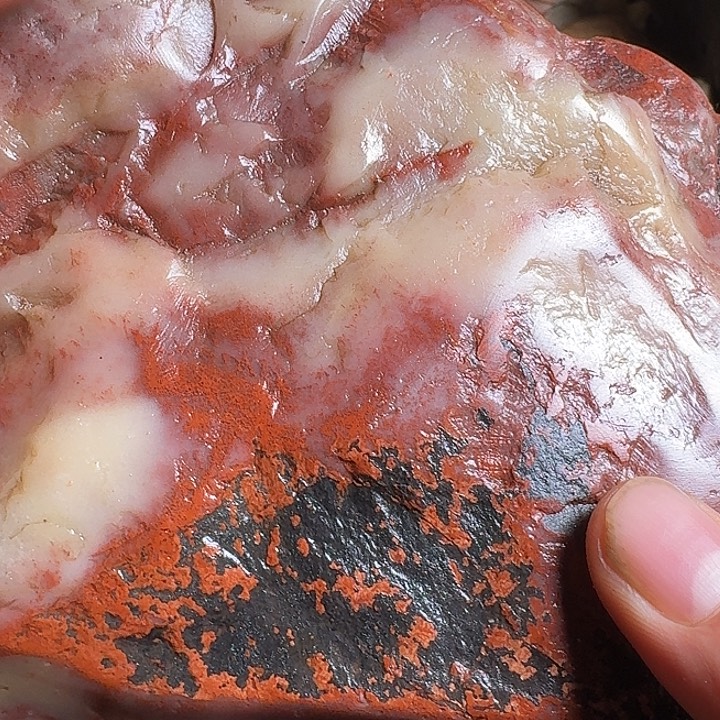 镶***轩寿山石寿山石的种类