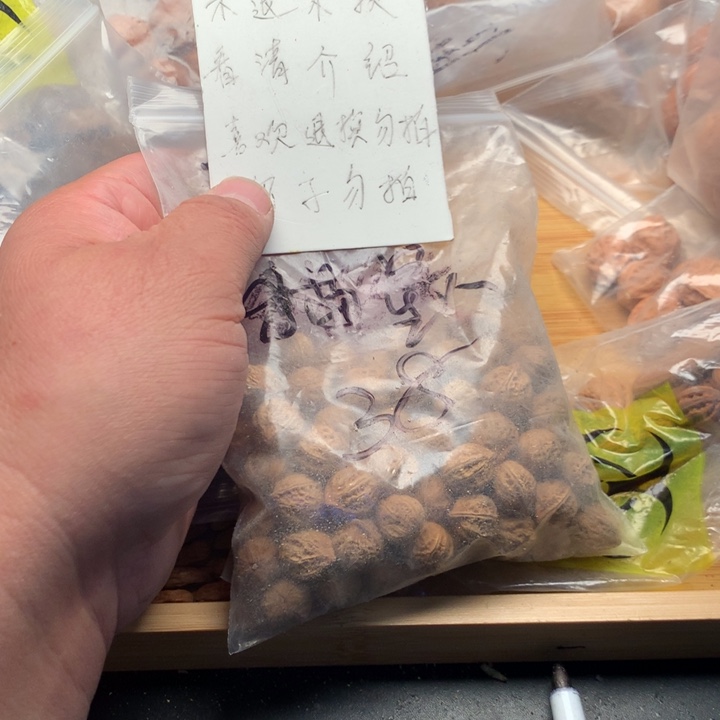 猫***人文玩核桃吊坠野生精品小核桃散籽