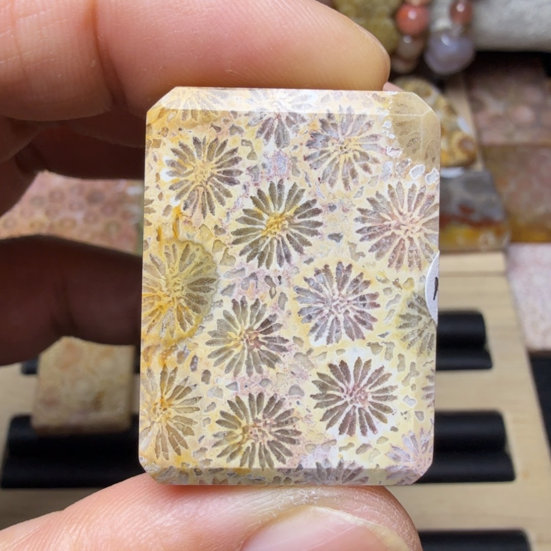 硅化玉未镶嵌纯天然色有机玉石保真色