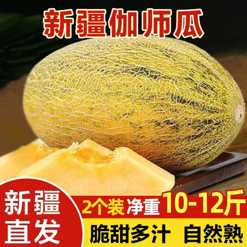 【京东】西域美农新疆伽师密瓜2枚装新鲜采摘香甜好吃蜜瓜新疆直发