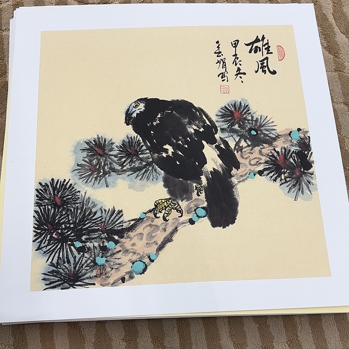 国画花鸟等多种鸟类的栖息地和栖息