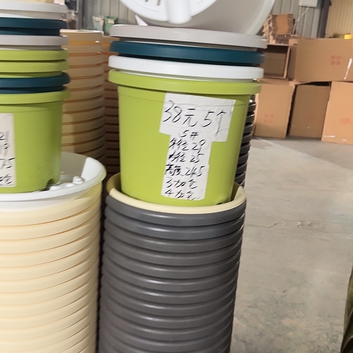 四季5#口径29无托果绿5个