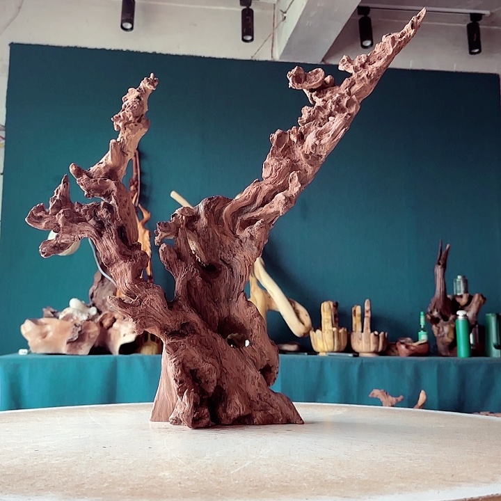 艺***爷木202 金丝红木羊蹄甲半成品