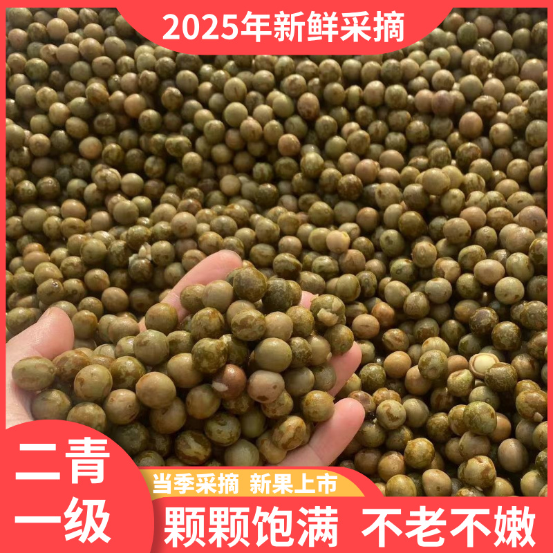 安徽新鲜芡实鸡头果二青一级鸡头米带壳打磨清香饱满不老不嫩直发
