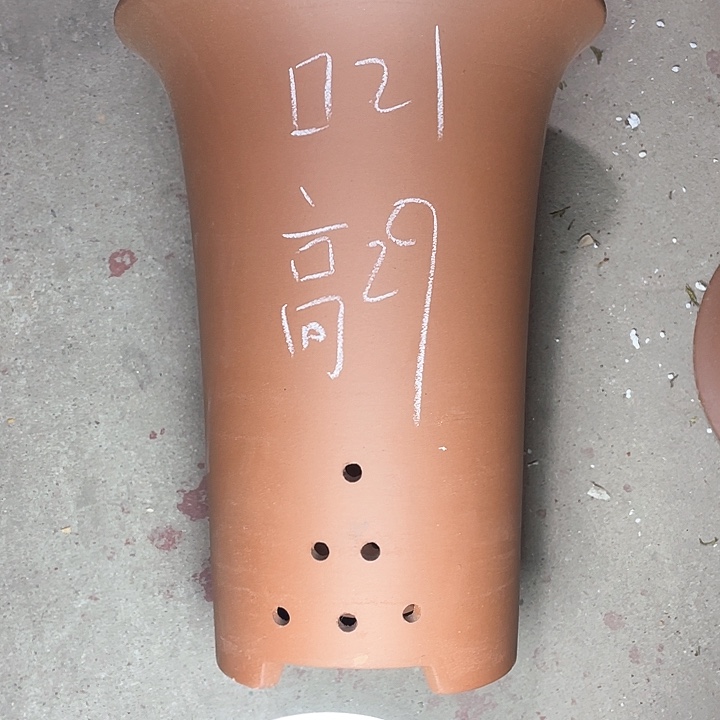 红陶紫砂紫砂紫砂