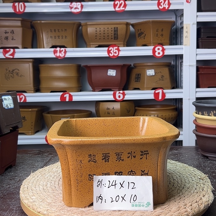 花盆紫砂蛇年大吉