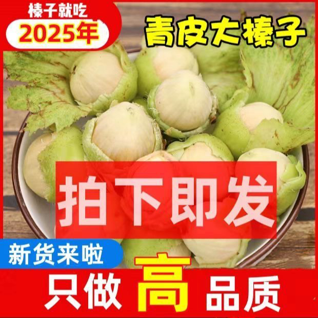 【达维】蓟县盘山新鲜采摘带绿皮大榛子津京冀次日达达维