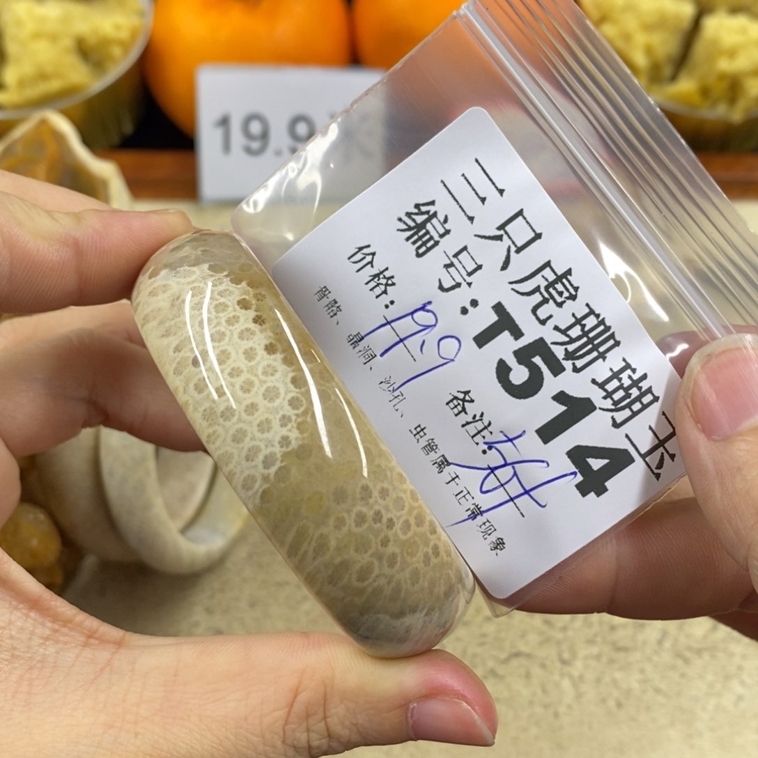 硅化珊瑚（珊瑚玉）1未镶嵌张****子