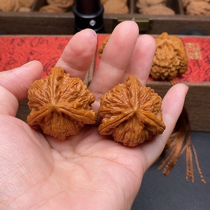 得***失把件文玩核桃白奔