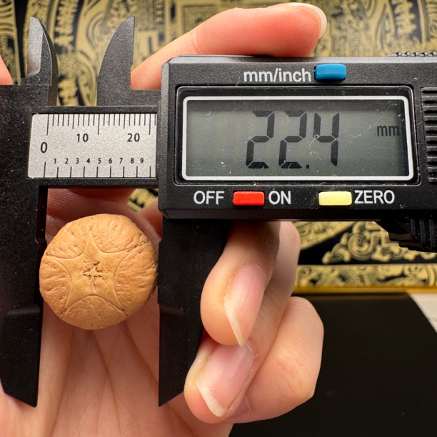 尼泊尔凤眼菩提五星单颗22➕