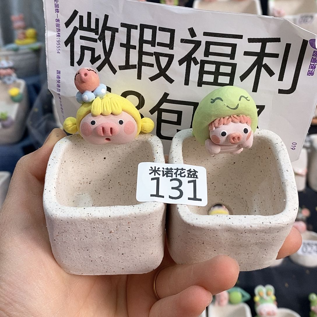 米诺多肉花盆131