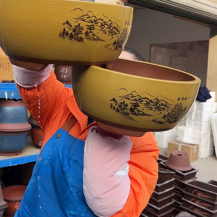 黄色江山如画中一对花盆花盆