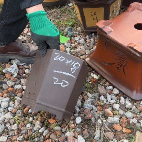 红陶紫砂花盆盆景盆栽