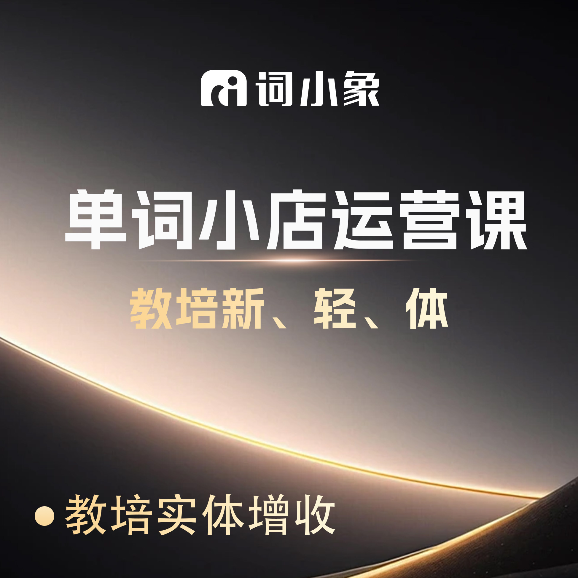 单词小店实操运营课
