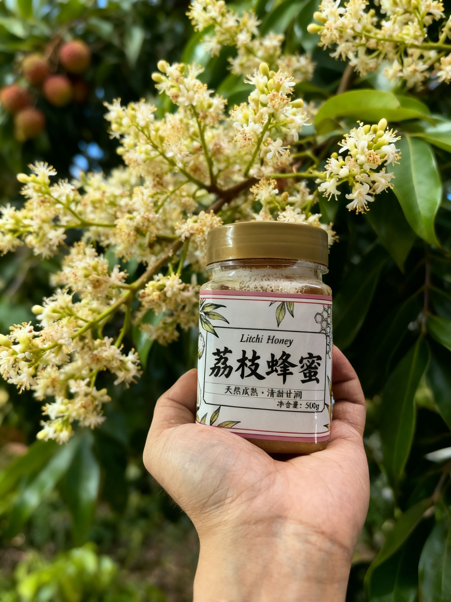 会结晶的荔枝蜜高州农家荔枝蜜