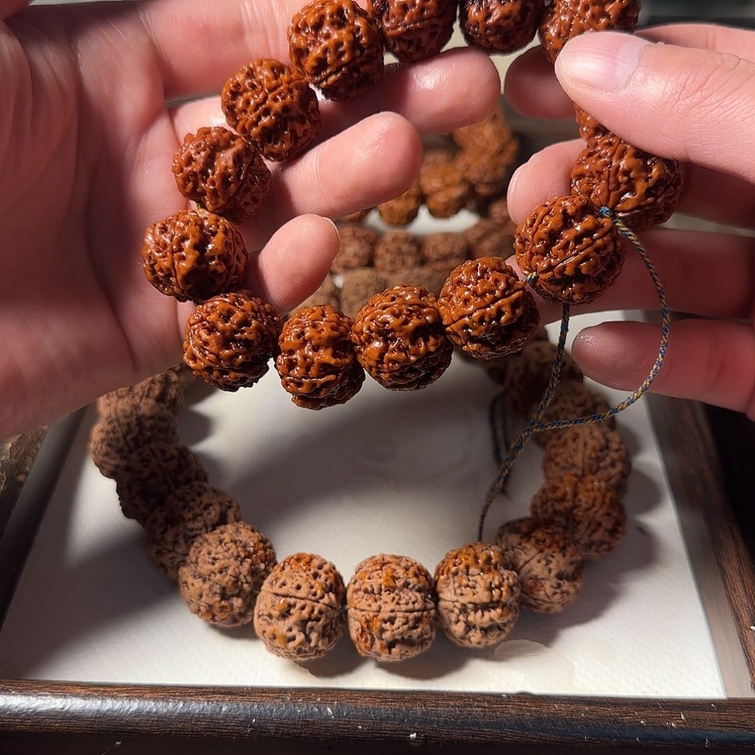 志***芳手串金刚菩提23..