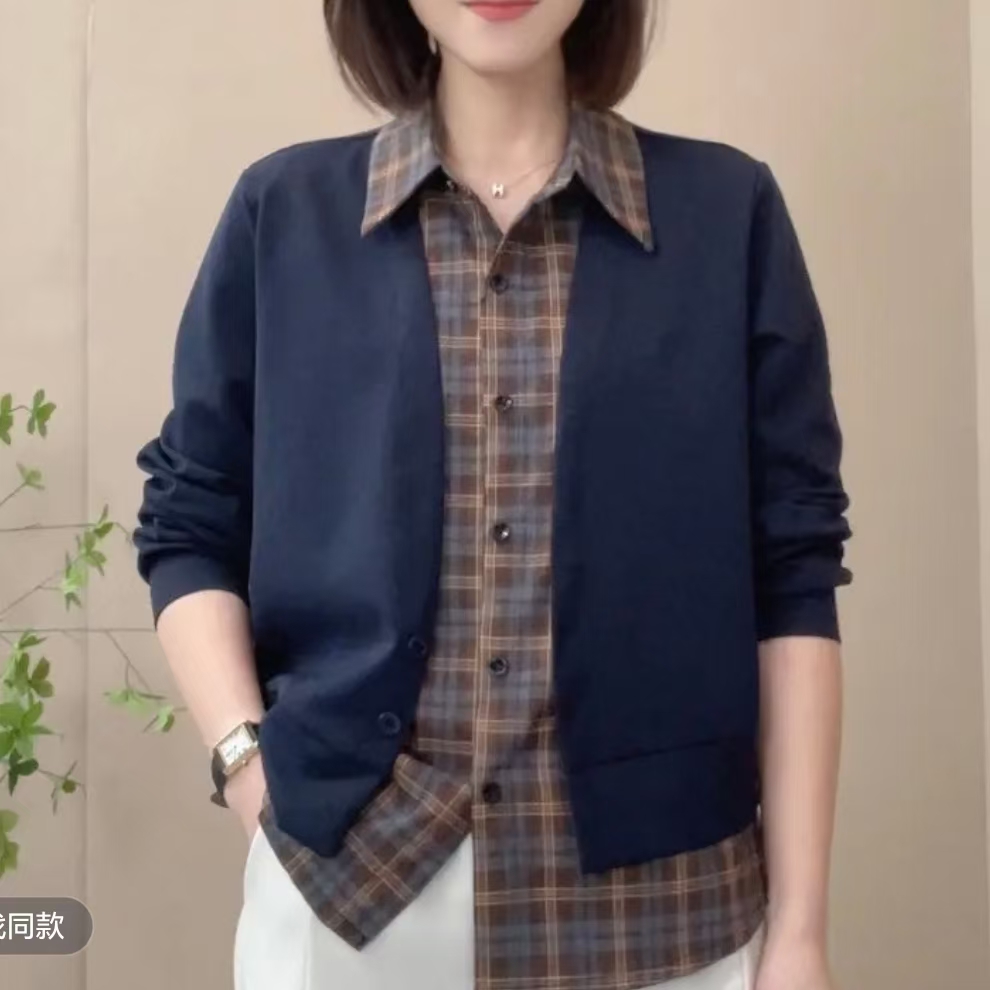 2025秋季新款上衣时尚V领显瘦修身设计感女士洋气小衫上衣