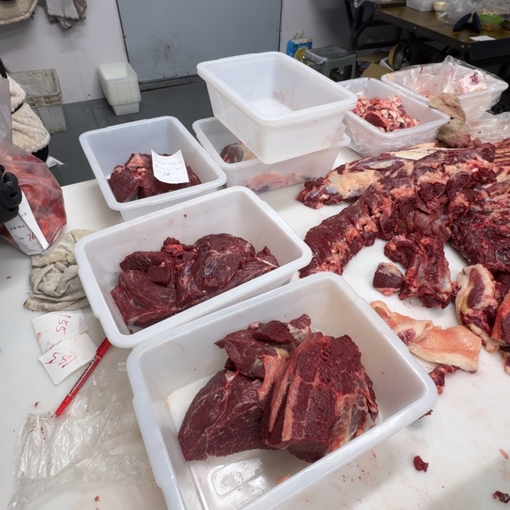 努***。12个月中国大陆马腿肉