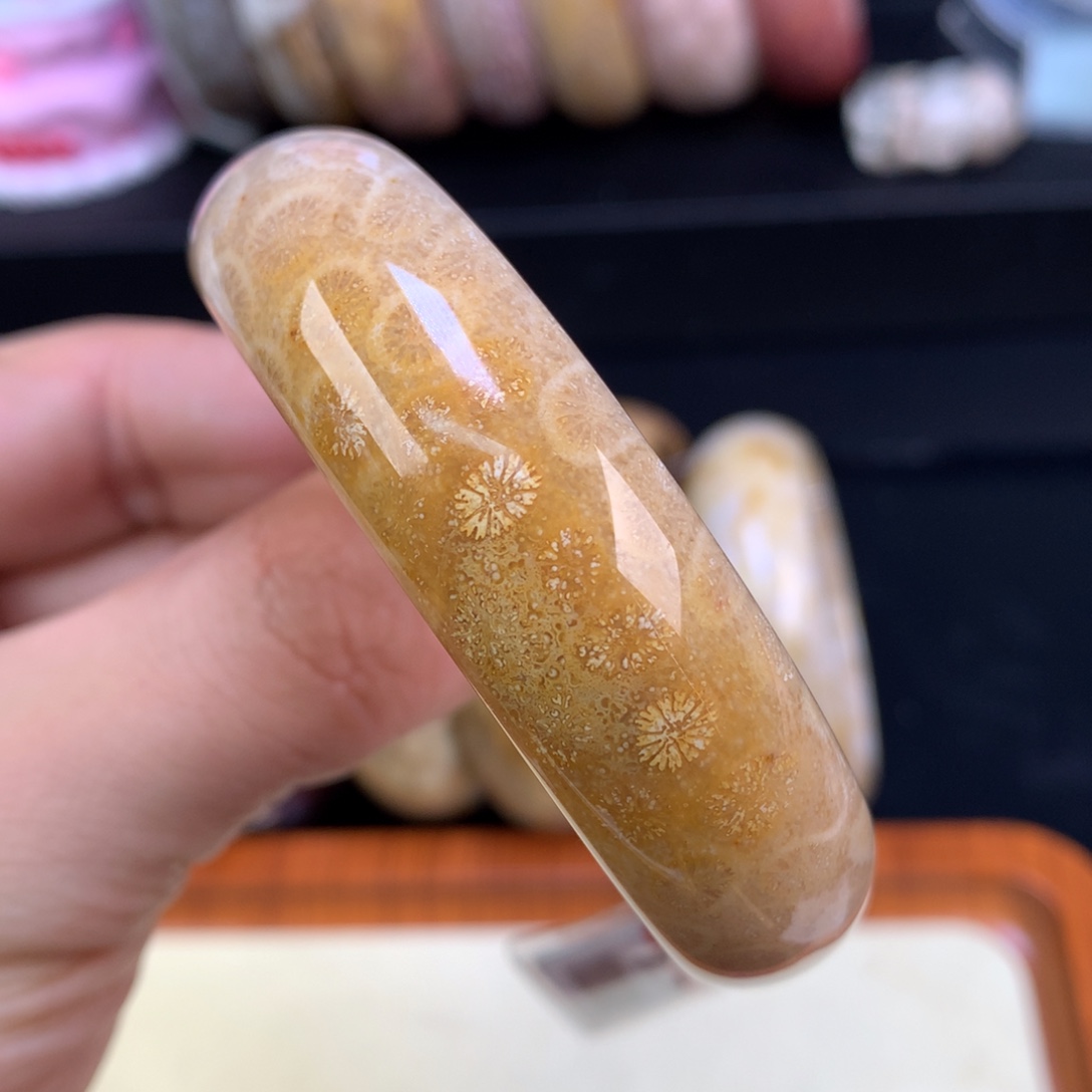 硅化珊瑚（珊瑚玉）未镶嵌颈饰24号金皮花沙沙底53.4圈