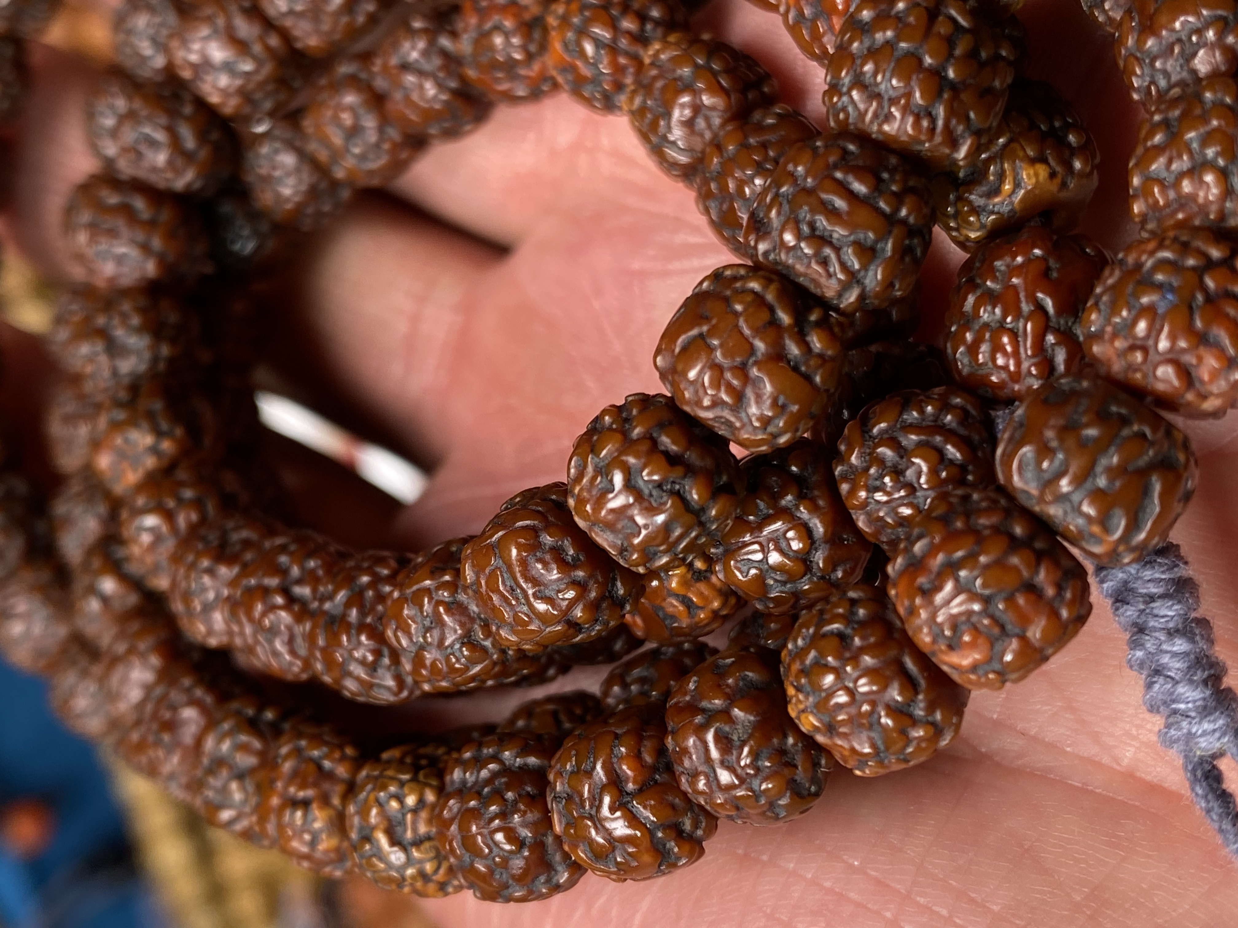 忆藏精选：手盘老金刚菩提念珠足数