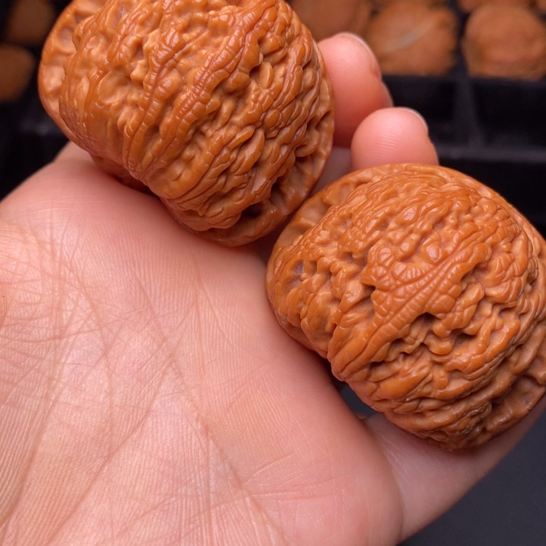 文玩核桃把件秦岭野生核桃