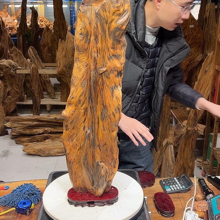 松木（琥珀木）蒲****。