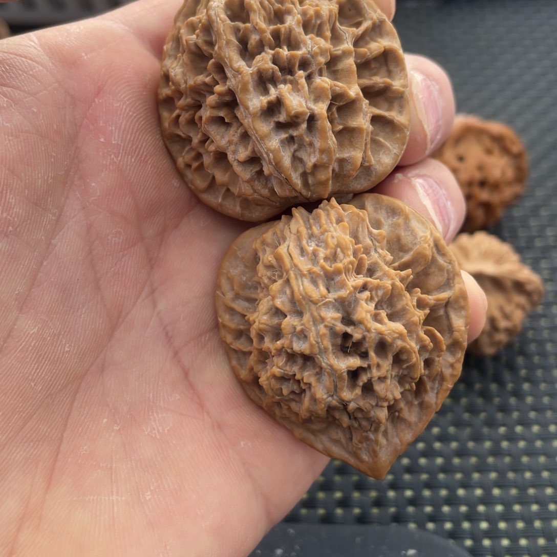 ?***哦秦岭小王文玩核桃