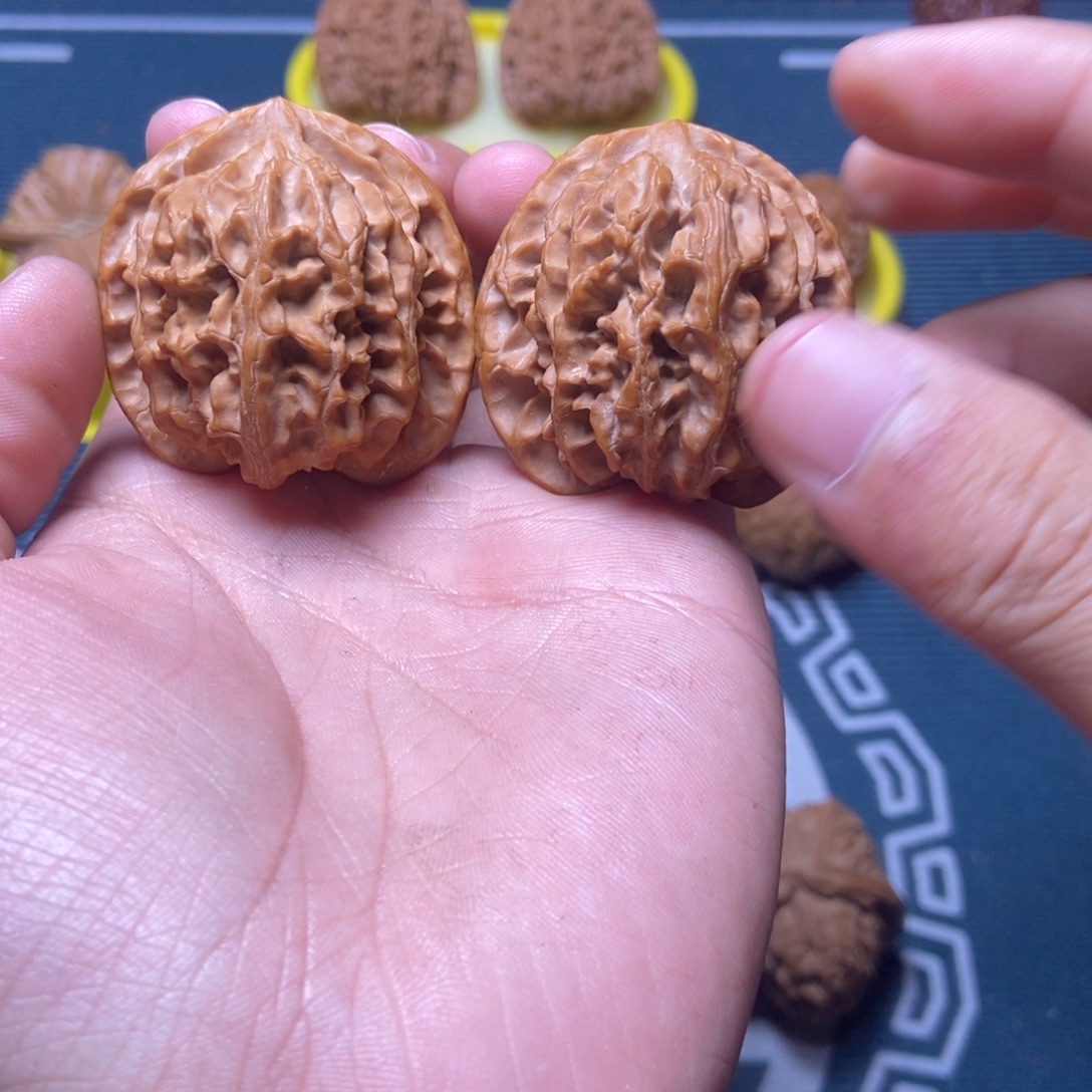 40尺微修苹果园白茬