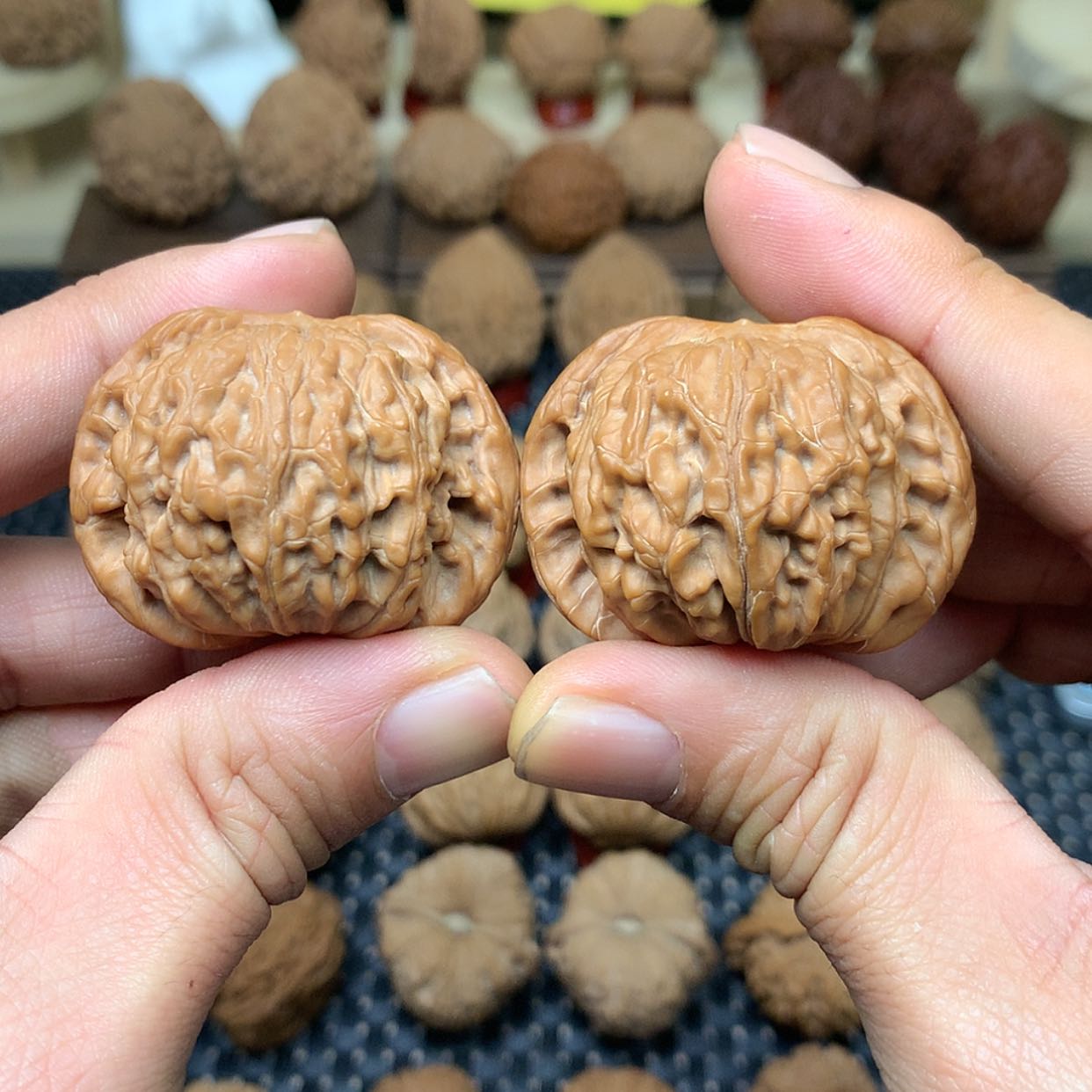 【闪购商品】文玩核桃把件全品山子尖磨盘狮子头43