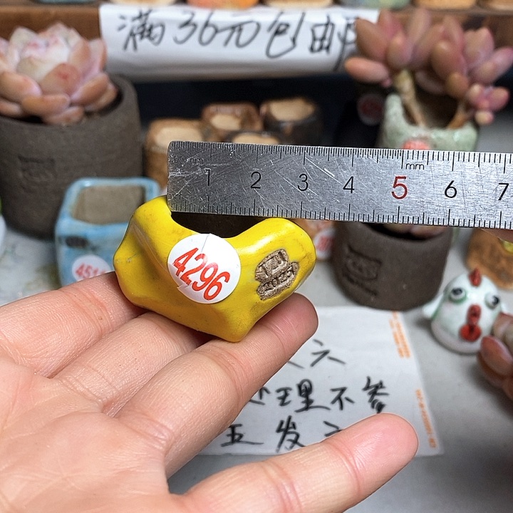 红陶拍5送一个小