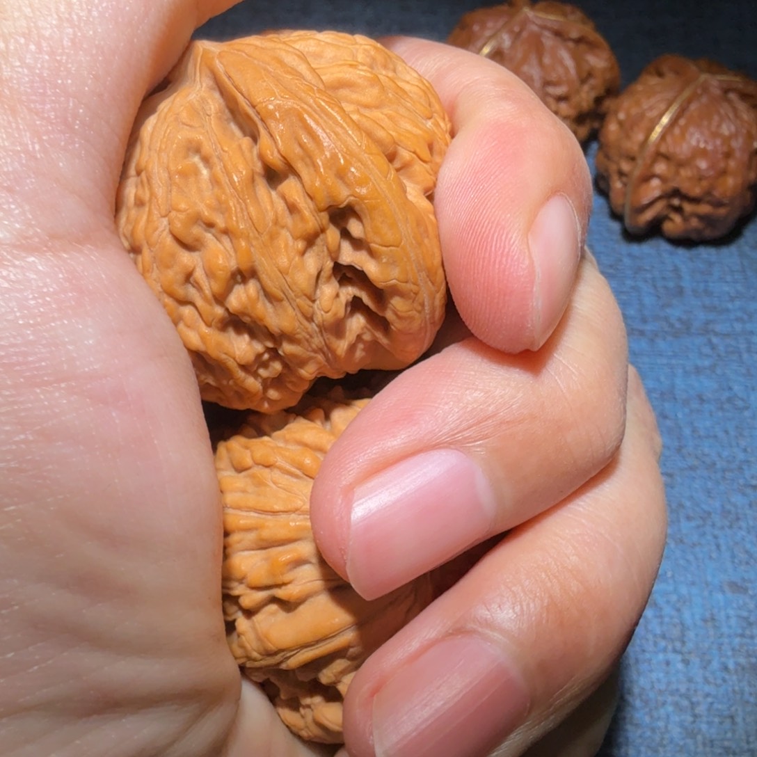 文玩核桃把件我*瞅蛟龙40尺寸094