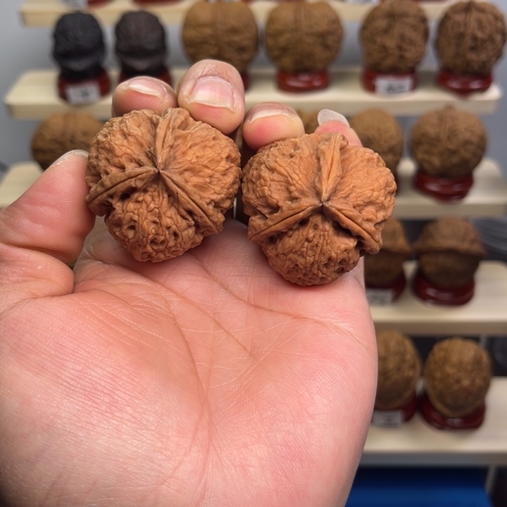 核桃黄金甲39尺。 