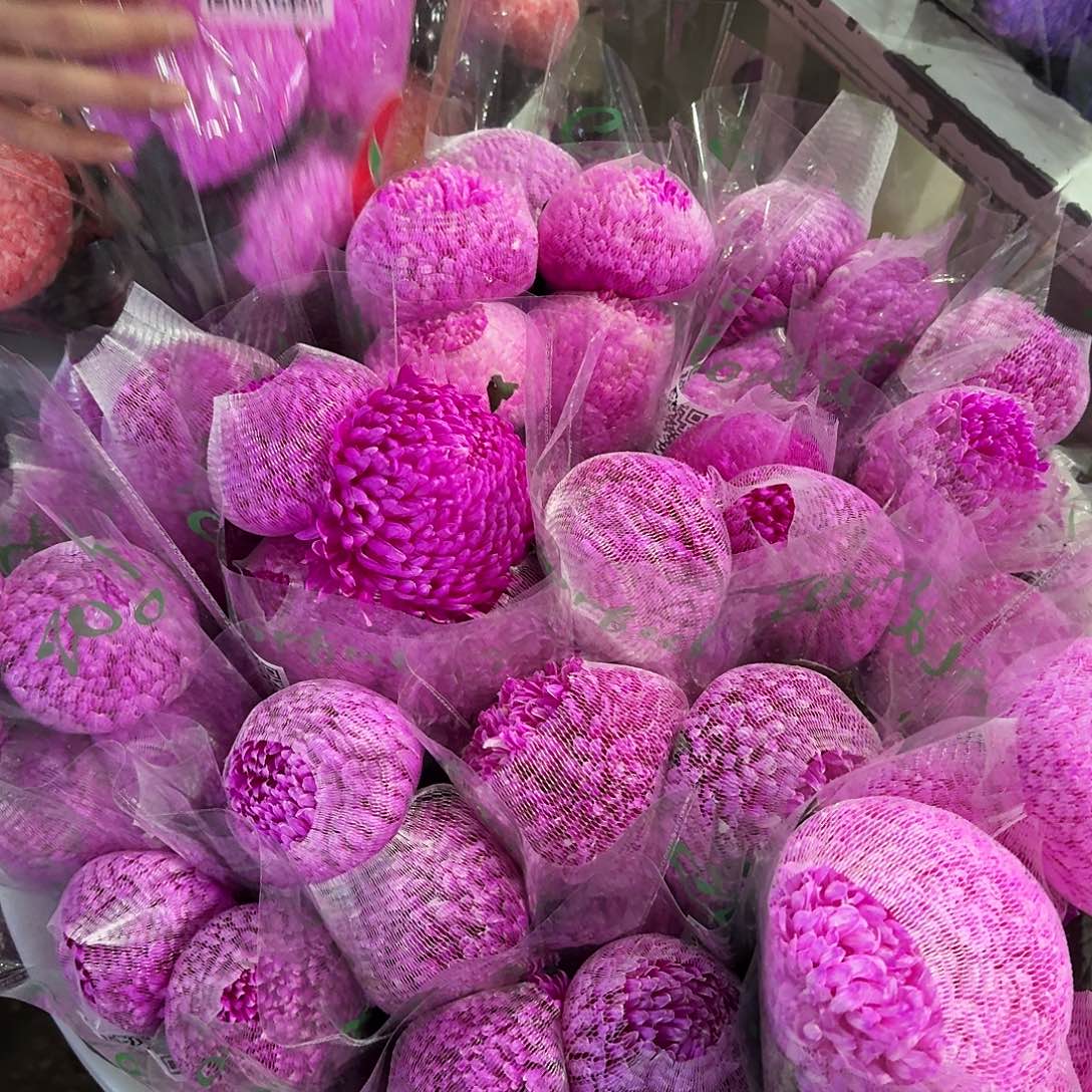 玫红色高品质牡丹菊5支