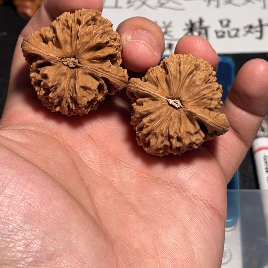 疯***四39涿鹿老树三角南疆黄多