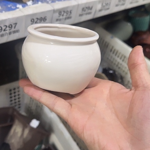 ····全是福利····9301