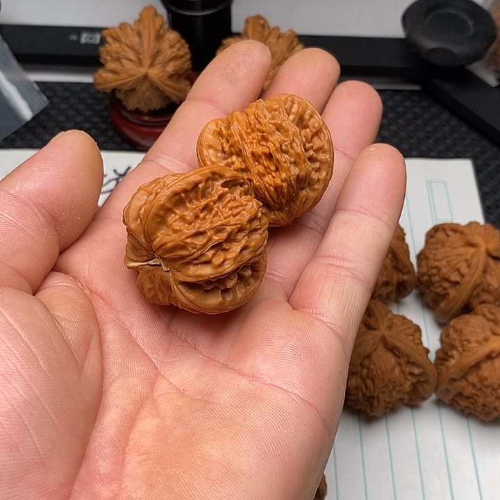 手串/手链核桃白狮子2